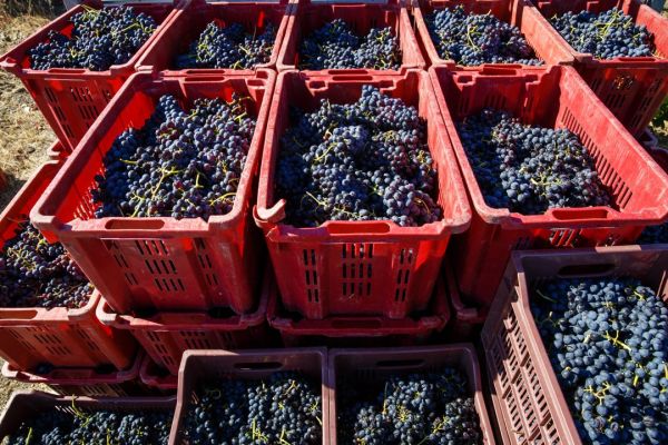 Domaine La Sarabande 4