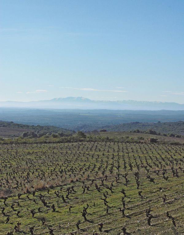 Paysage 2 Ch Teau Des Peyregrandes