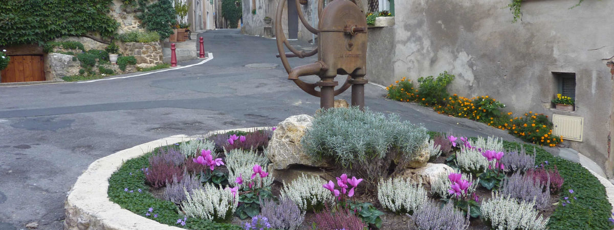 Fleurs Pousse Tire P1190291